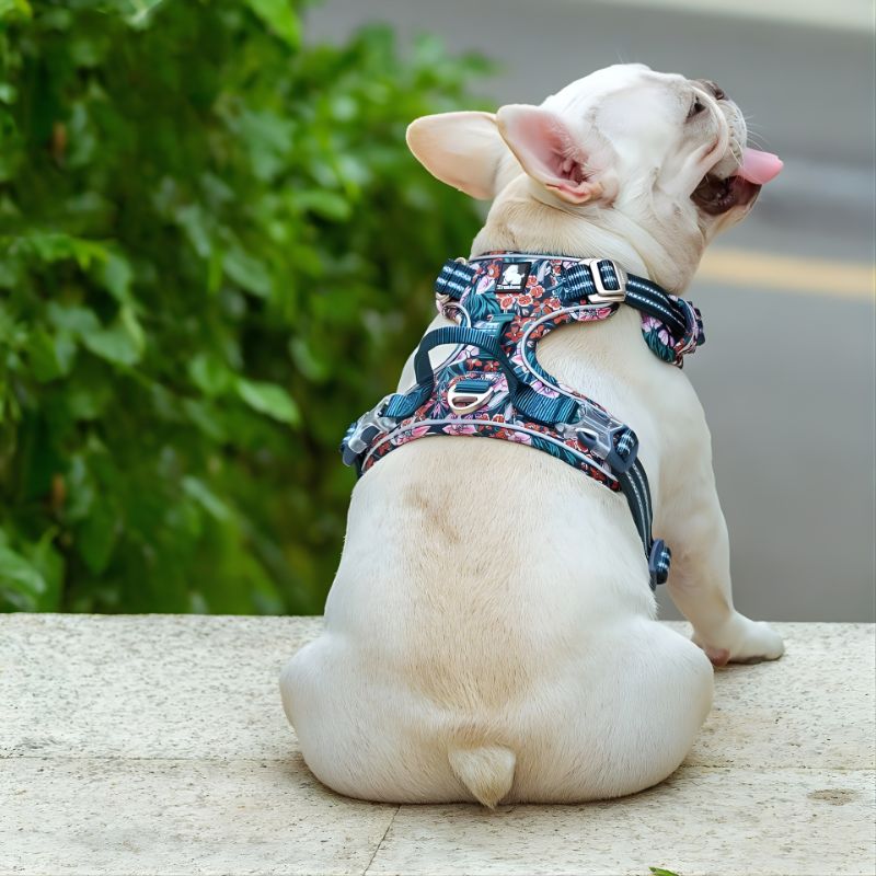 Floral Print Adjustable Dog Harness Vest