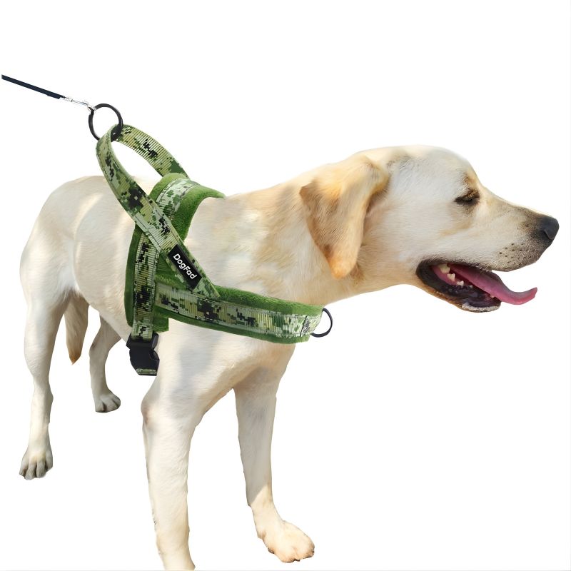 Comfortable Padded Dog Harness and Leash Set - Adjustable Nylon Vest