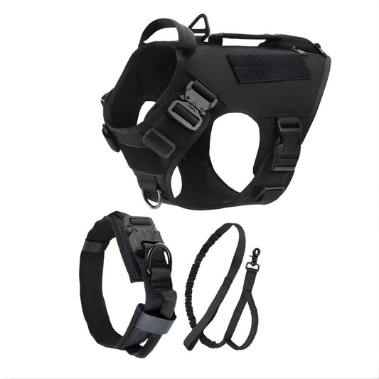 Black dog harness, collar, and leash set on a white background