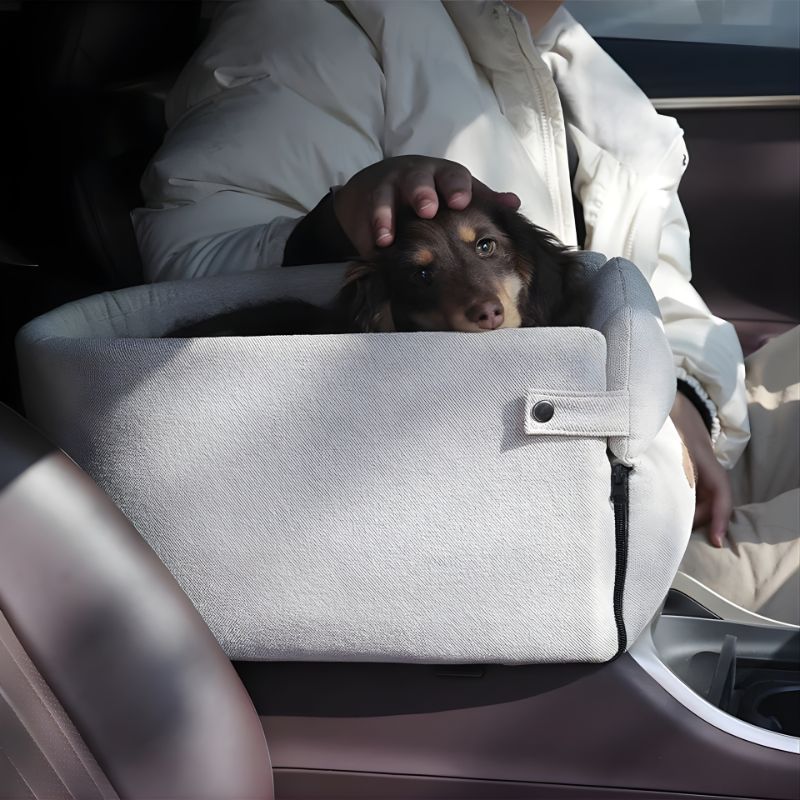 Dog peeking out from a pet seat carrier inside a car