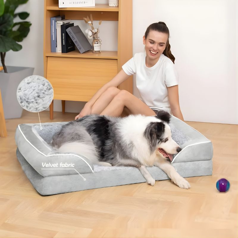 Woman sitting with a dog on a gray pet bed in a room with wooden floor and bookshelf.