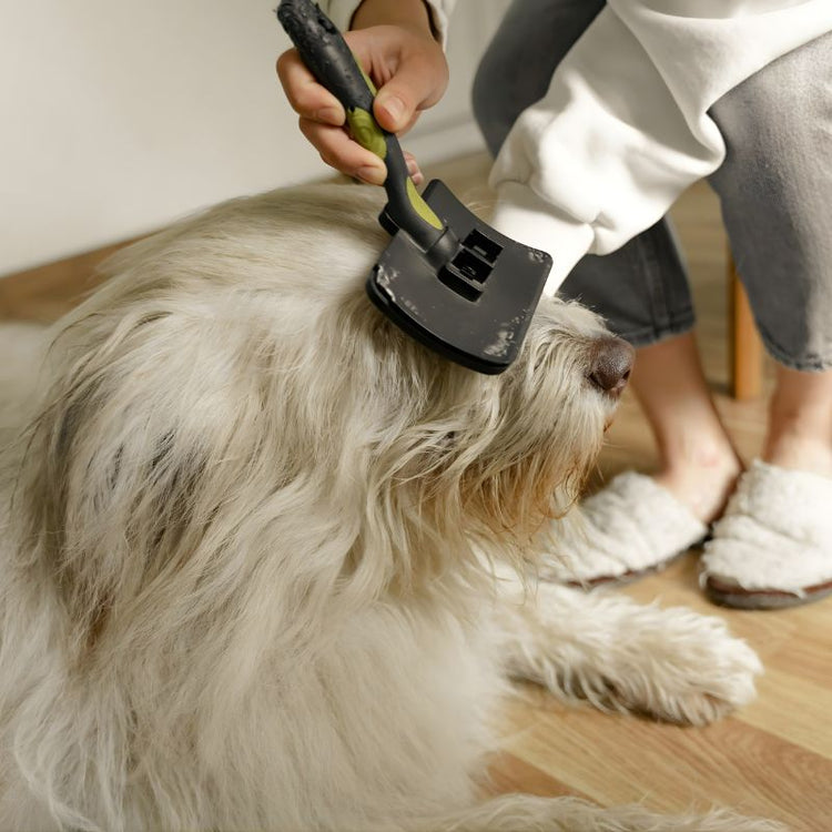 Dog hair remover