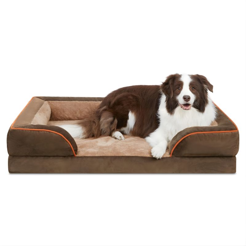 Dog lying on a brown and beige pet bed with orange piping on a white background