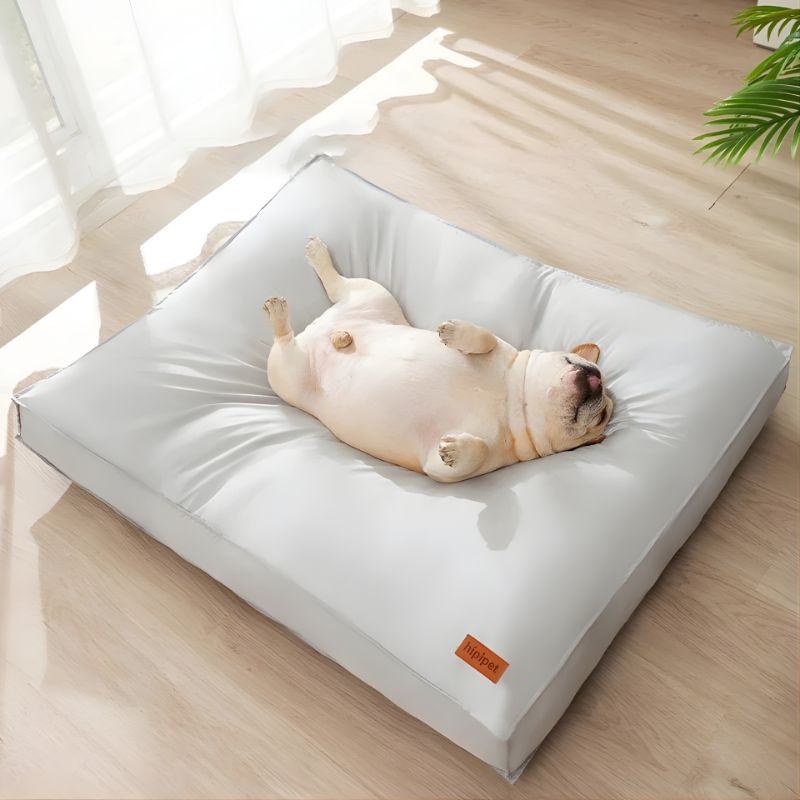 Dog lying on a large white pet bed in a bright room with natural light.