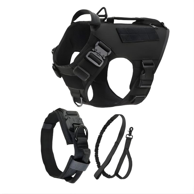 Black dog harness, collar, and leash set on a white background