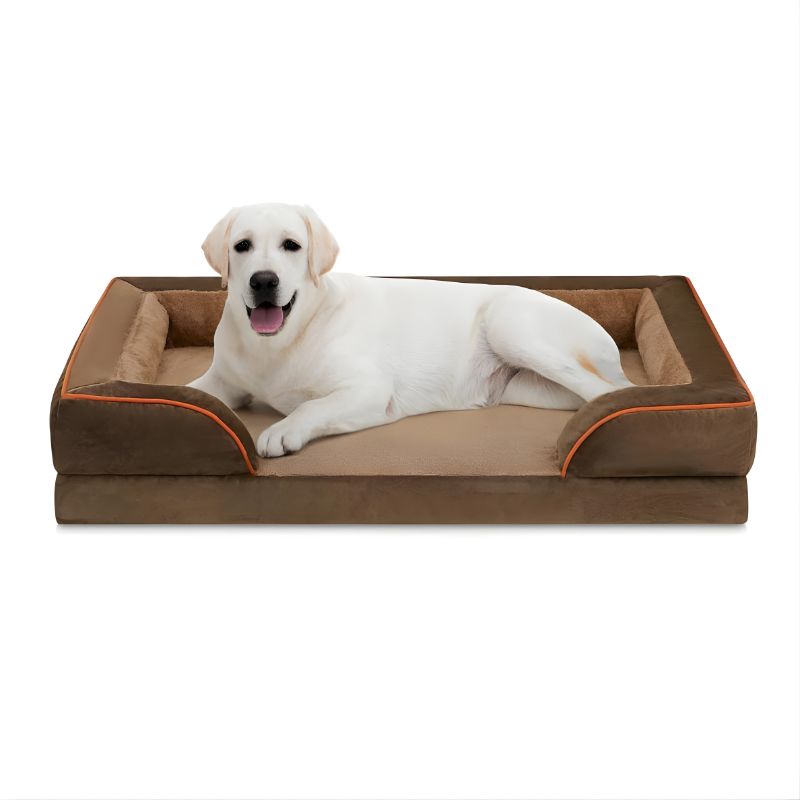 Dog lying on a brown pet bed with orange trim against a white background